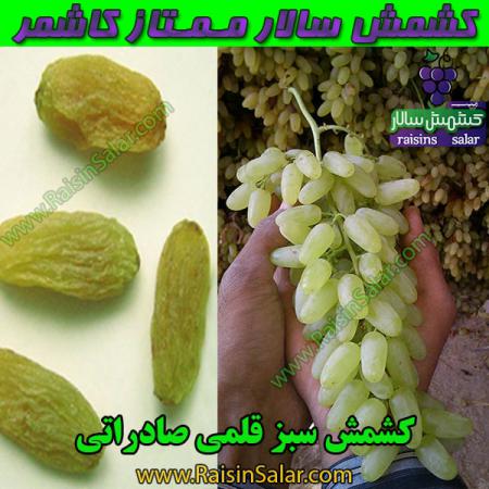 بازار خرید کشمش سبز ۱۰۰۰ گرمی